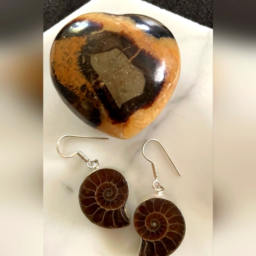 ✨️Flash SALE ✨️🌻 Ammonite Fossil & Sterling Silver Earrings